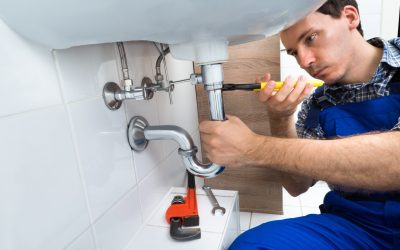 Homeowners Rely on Garbage Disposal Installation Clayton, CA, for Hassle-Free Kitchen Upgrades